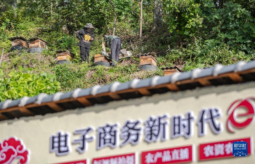 新澳门